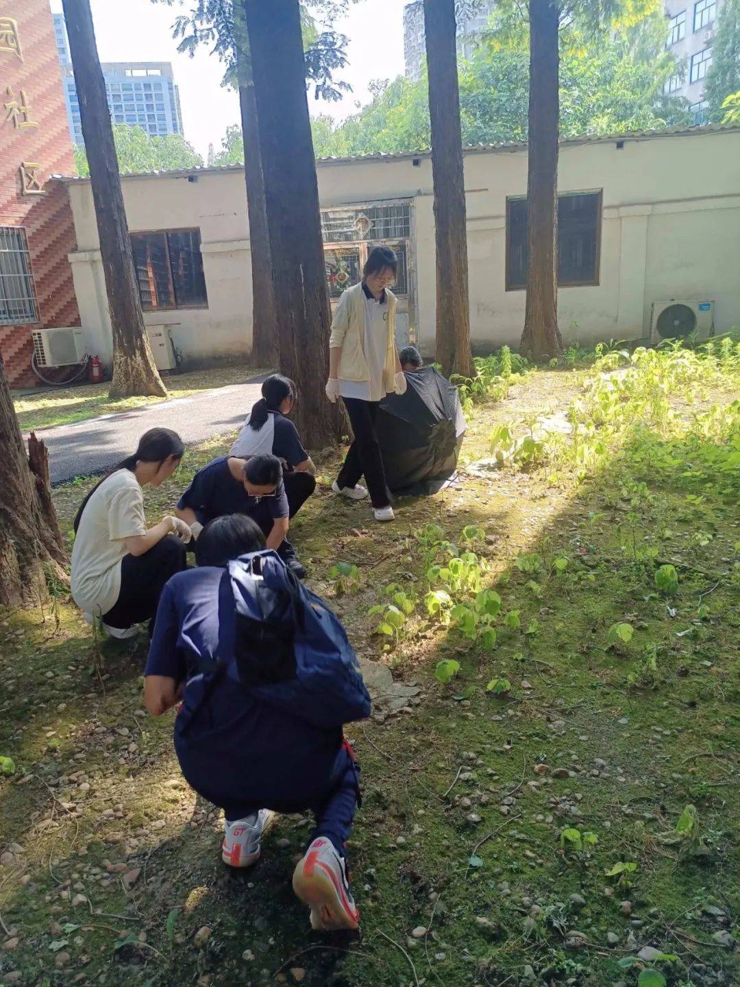 青春筑梦,实践启航 株洲市第八中学2024年暑假学生社会实践活动