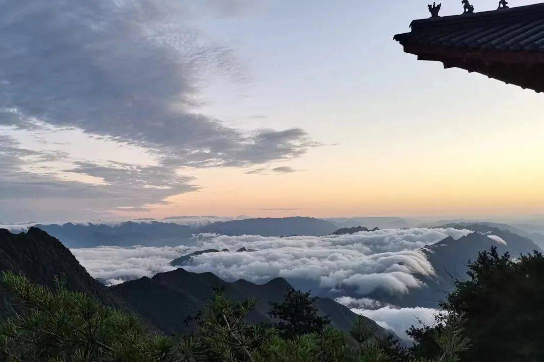 和其他同类景区比起来,天竺山有三个优点:一是省力,自驾车能直达高达4