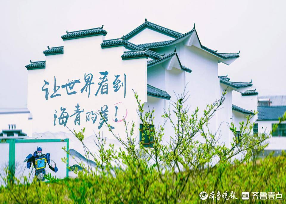 青岛西海岸新区海青镇:激活茶乡共同富裕"一池春水"