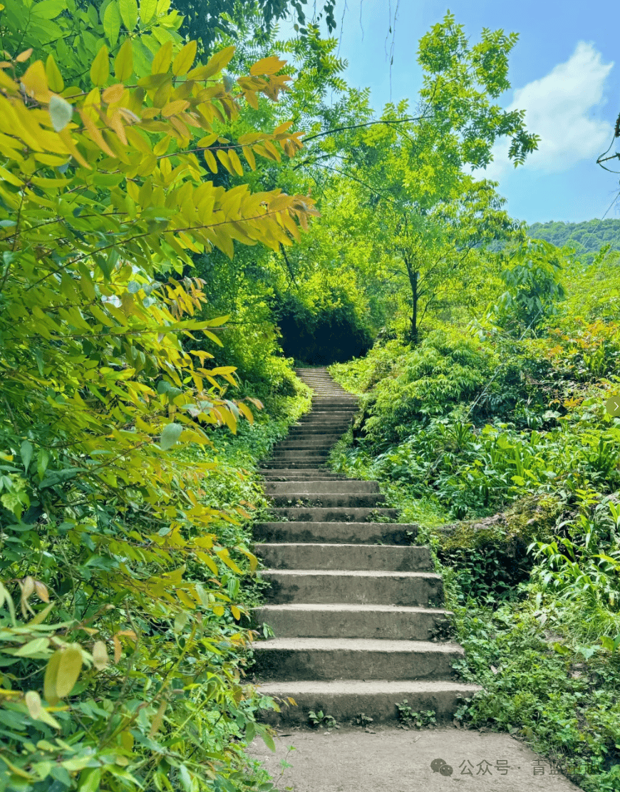 超级适合亲子徒步的路线!!呼吸新鲜空气,负氧离子滋养......_路况_导