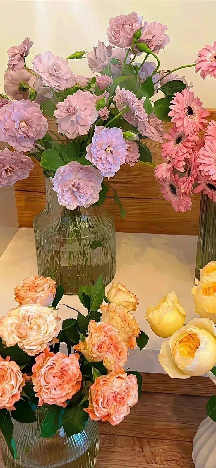 323031313530353437壁纸|iphone壁纸