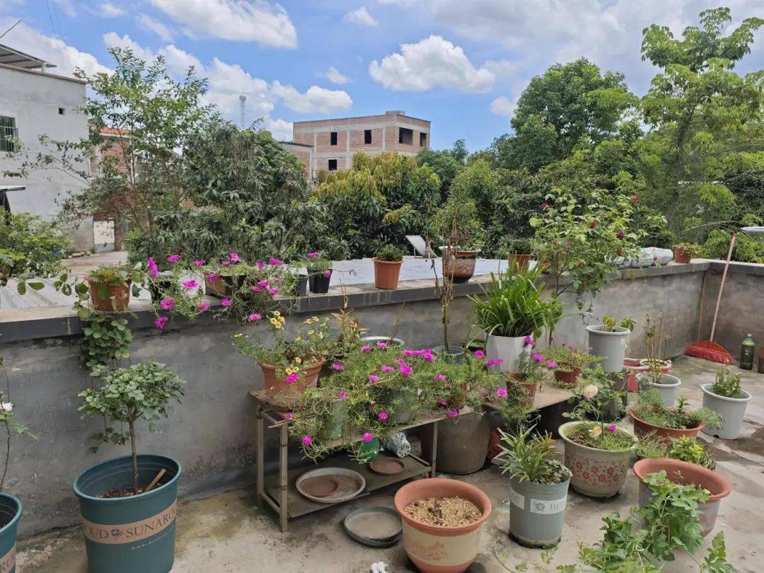 美丽庭院· 绿美云浮 | 接力"晒" 78 美好"院"景在身边!