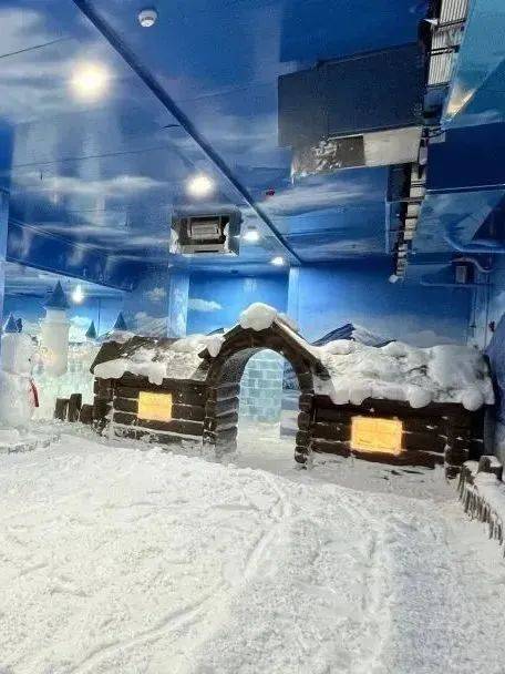 深圳冰雪界的老炮儿,阿尔卑斯冰雪世界以其超过10000平方米的规模