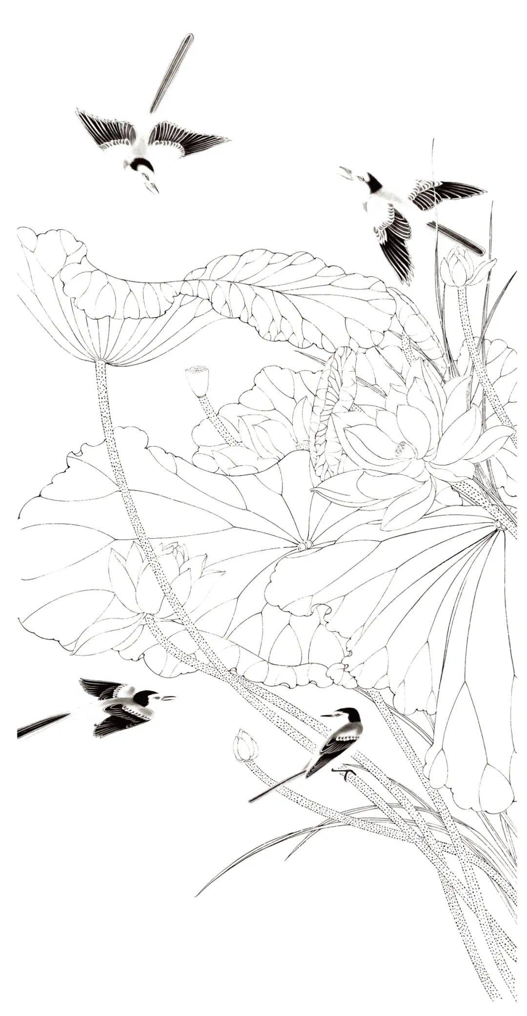 工笔荷花鹡鸽鸟《花间鸣唱》