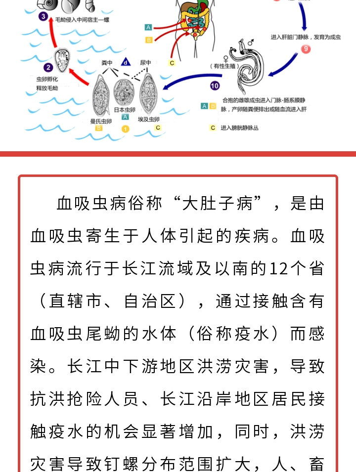 血吸虫预防图片漫画图片