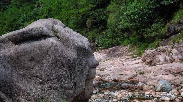 景区内拥有43种国家级珍贵物种和13种国家级保护动物;有五十余个各具