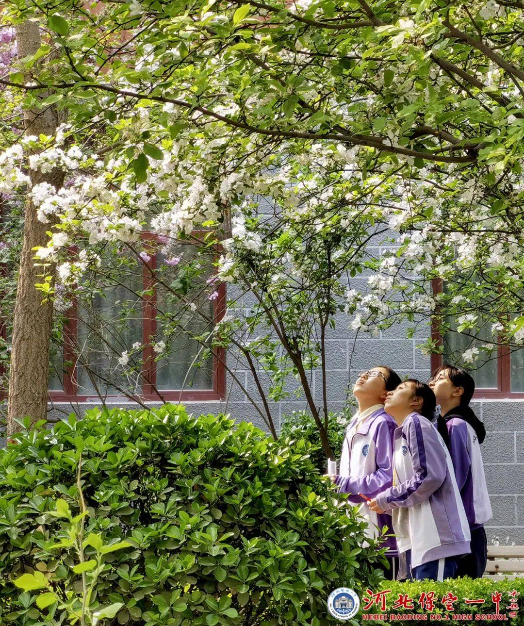 美景定格!请欣赏保定一中第九届教工摄影大赛作品