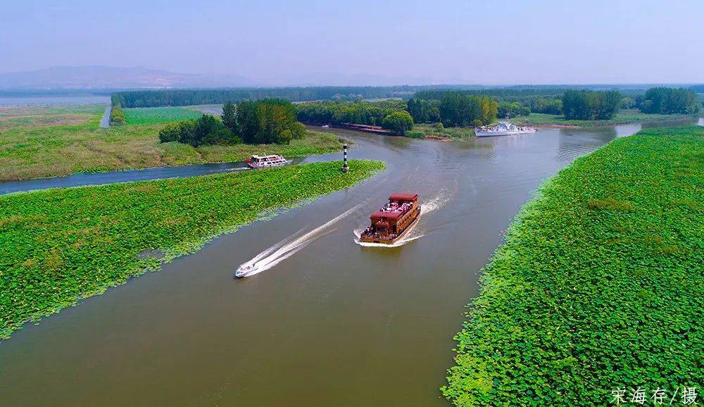 美景怎可辜负邀三五好友来红荷湿地感受夏日的荷风来源:滕州微山湖