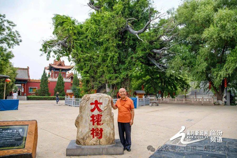 视觉临汾:二胡演奏家赵寒阳先生的大槐树之旅_洪洞_文化_历史