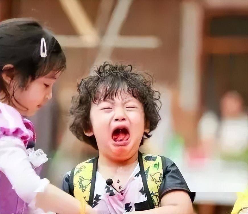 2 2015年7月,真人秀《爸爸去哪儿》开播,邹市明和儿子邹明轩参演