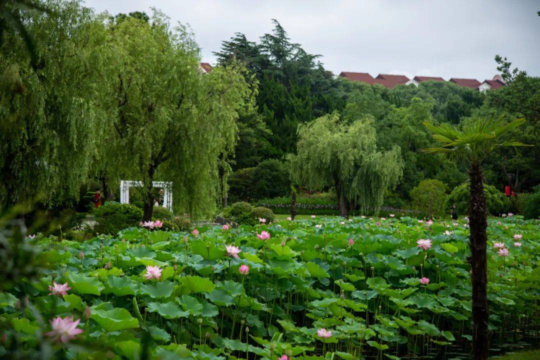 夏日公园结局图片