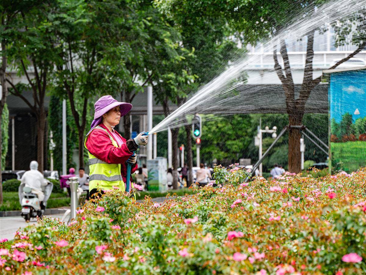 🌸【澳门精准100%一肖一码免费】🌸_北京将首次作为主题城市参展香港书展