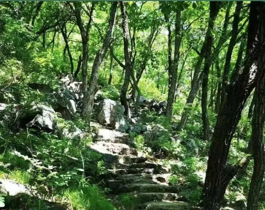 公园分为七大景区,小桂林,仙人洞,佛手山,白桦川