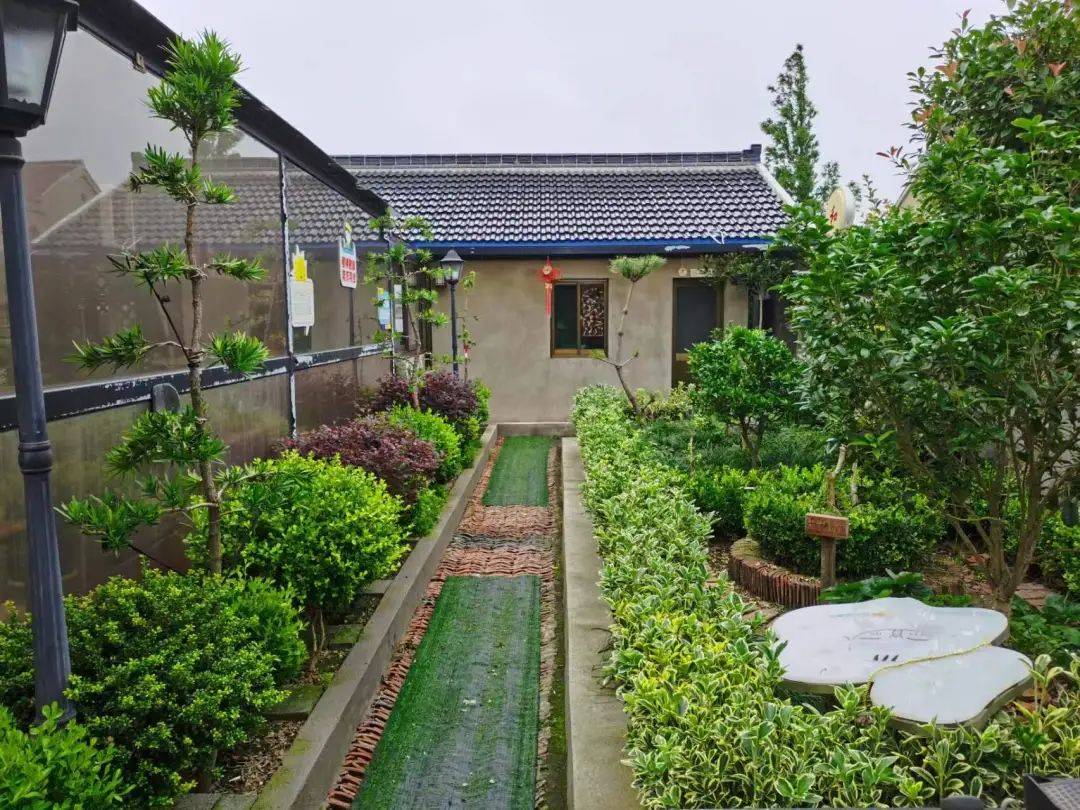 "晒"美丽庭院 "展"和美乡村——启东"美丽庭院开放日""集中晒"活动②