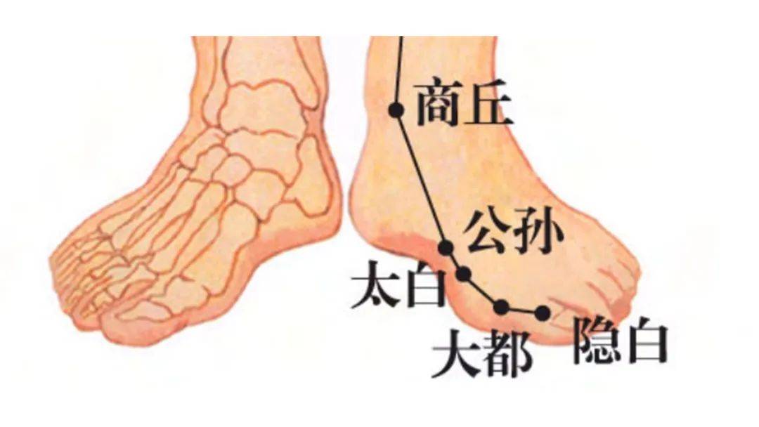 健脾补脾!学会“揉脾经”上的这些穴位,缓解20多种疾病!_主治_方法_治疗