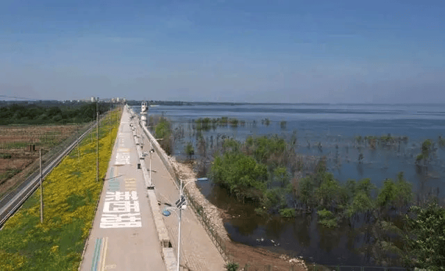 3亿余只"蜂特工"正奉命绞杀美国白蛾_青岛_水库_森林