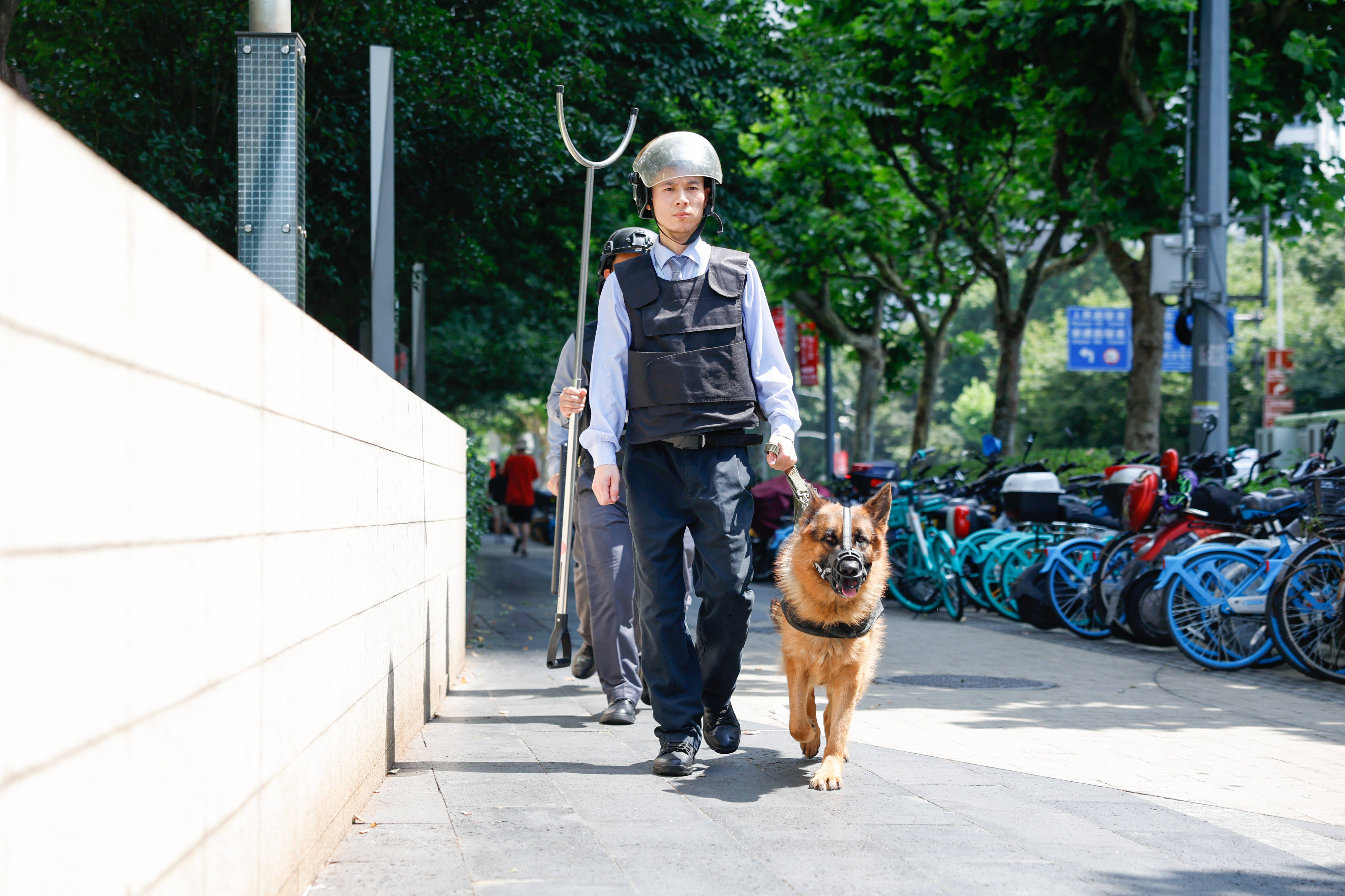 🌸爱奇艺【澳门一肖一码必中一肖一码】_城市生态与文化传承的融合之旅