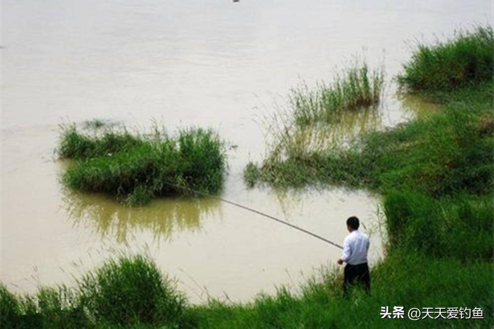 夏季野钓江河