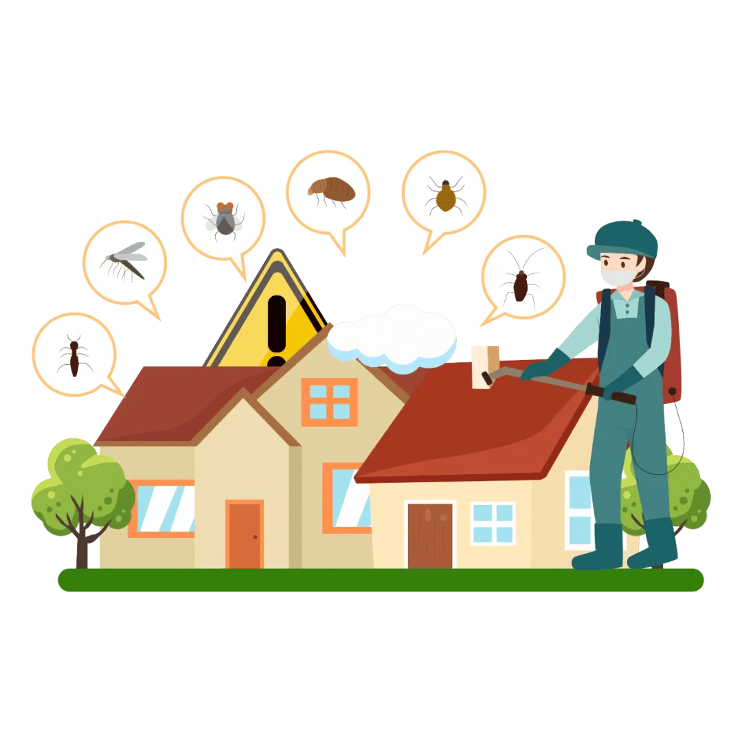 家庭防蟑灭蟑指南