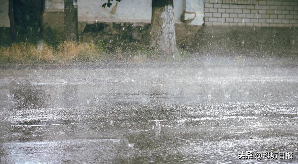 阴转大雨图片