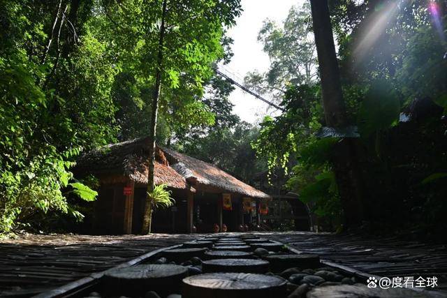 基诺山寨景区介绍,感受原始森林魅力,体验基诺族独特文化!