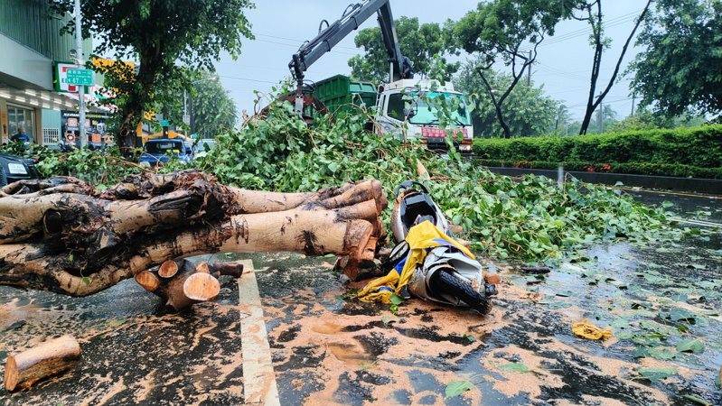 台媒:高雄一女子被强风吹倒的大树砸中身亡,“为台风‘格美’在台造成首起悲剧”_卢姓_后续_建国路