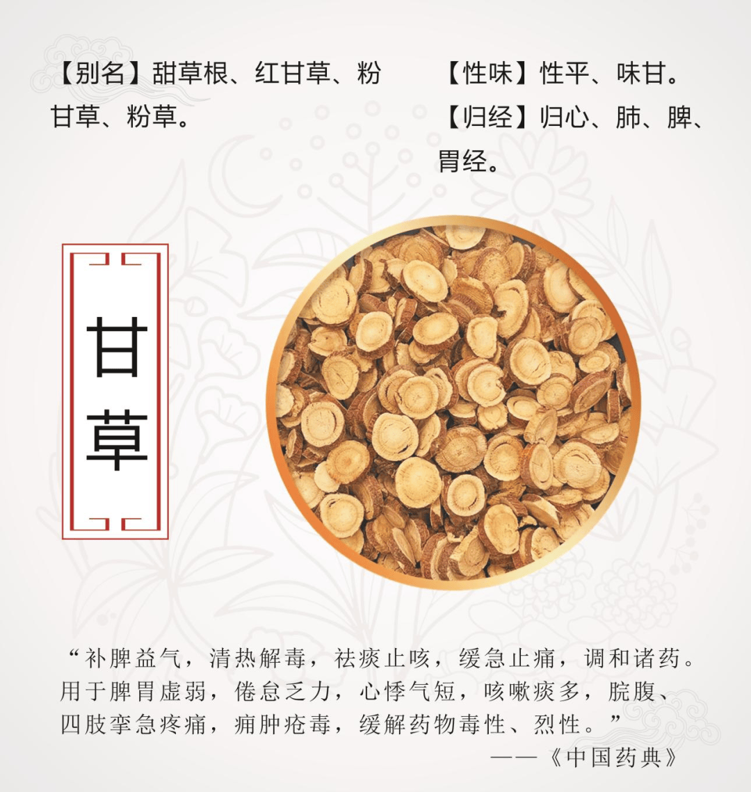每天认识一味药
