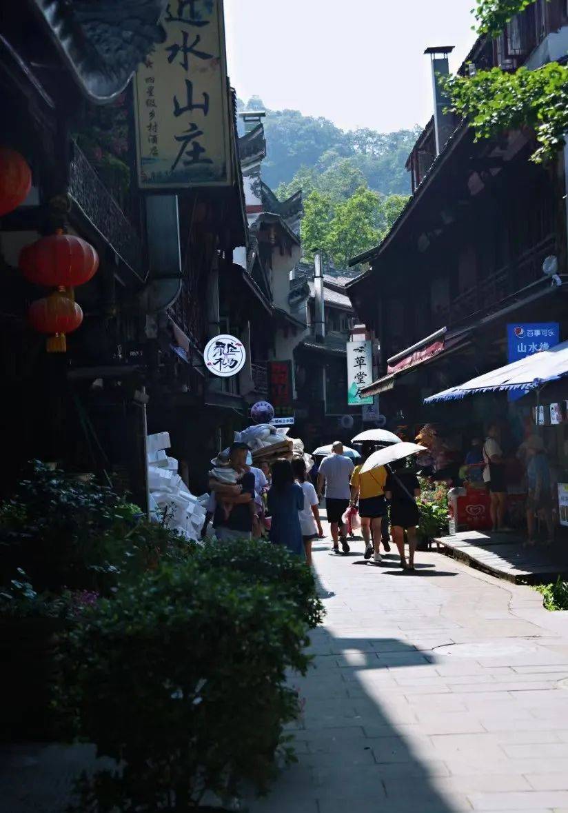 可以在某个巷子的左手边看见一座静矗的古寺,这便是泰安古寺