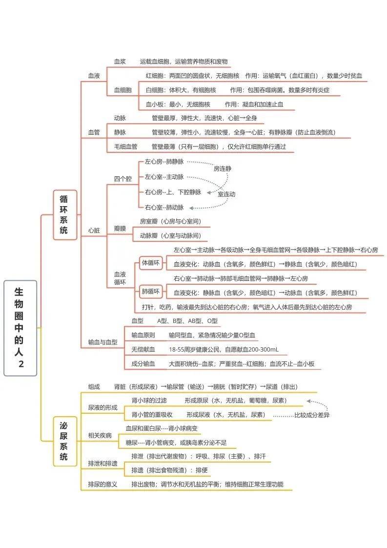 物种起源思维导图初中图片