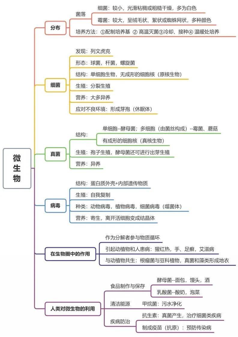 初中生物全册思维导图总结