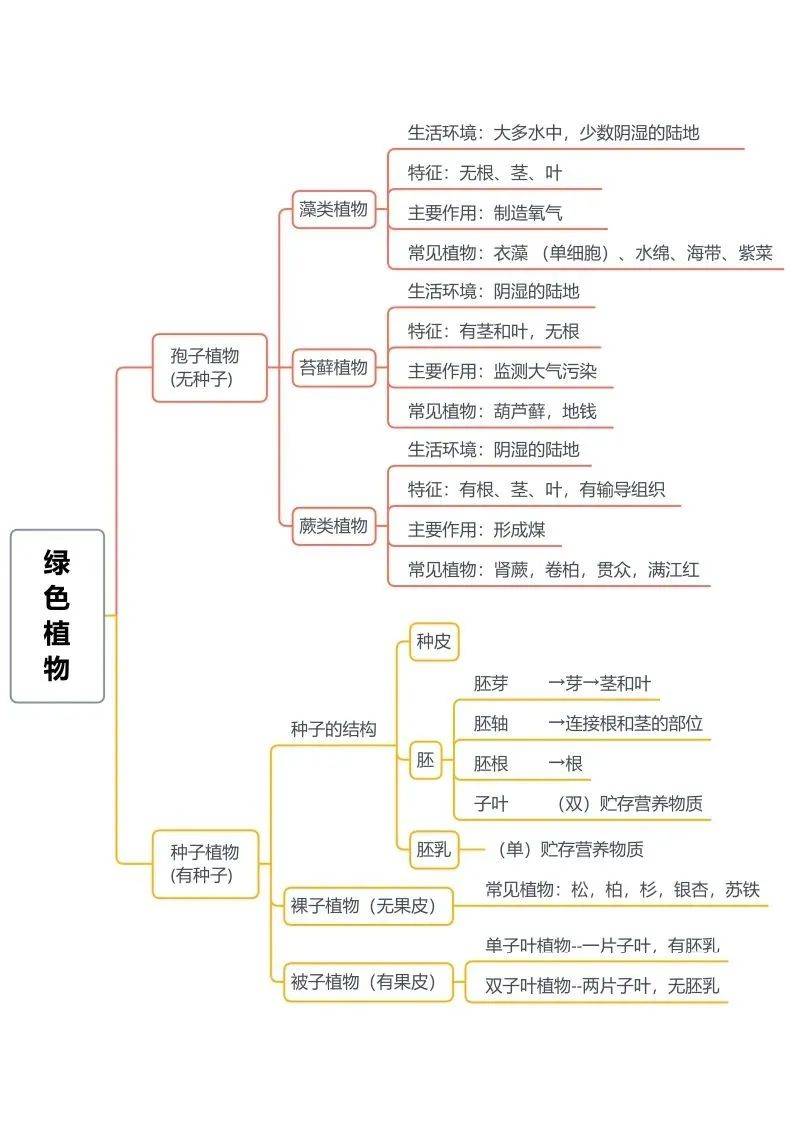 物种起源思维导图初中图片