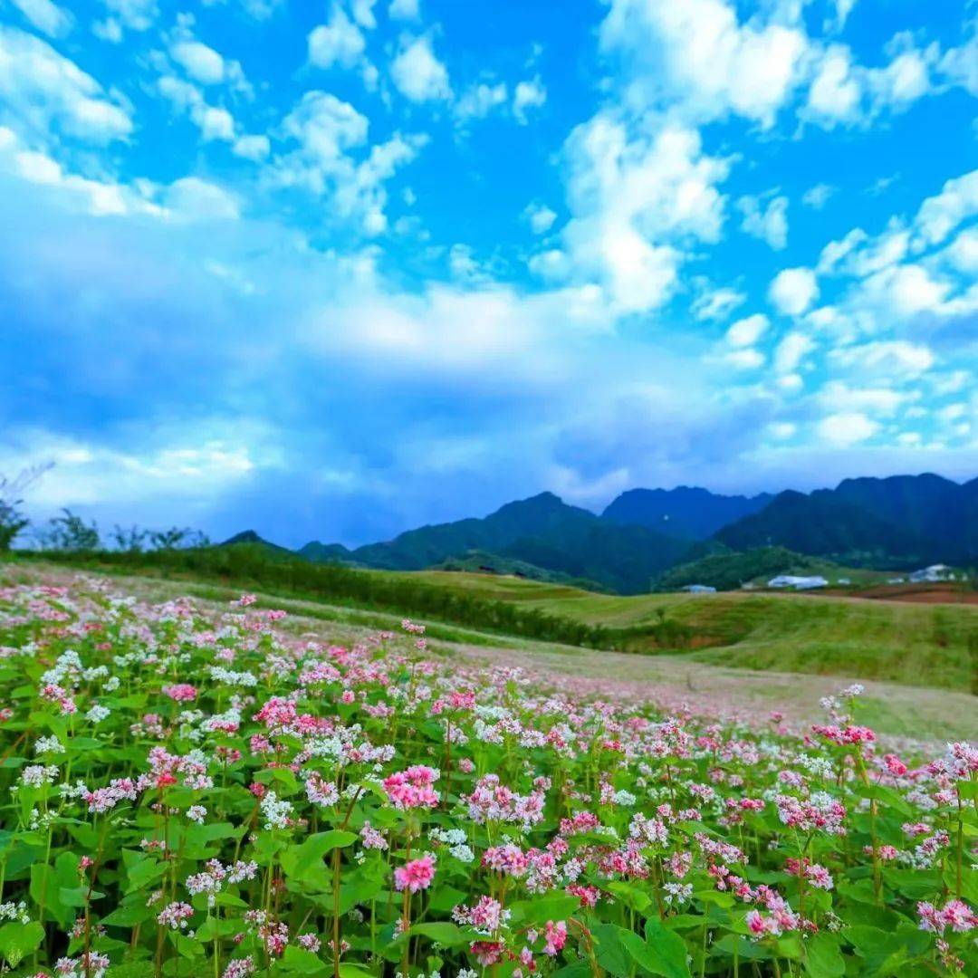 陕西省蓝田县旅游景点图片