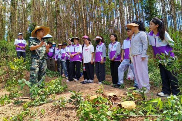 好看视频：2024年正版资料免费大全-教育部部长怀进鹏：党的二十届三中全会部署深化教育科技人才体制机制一体改革