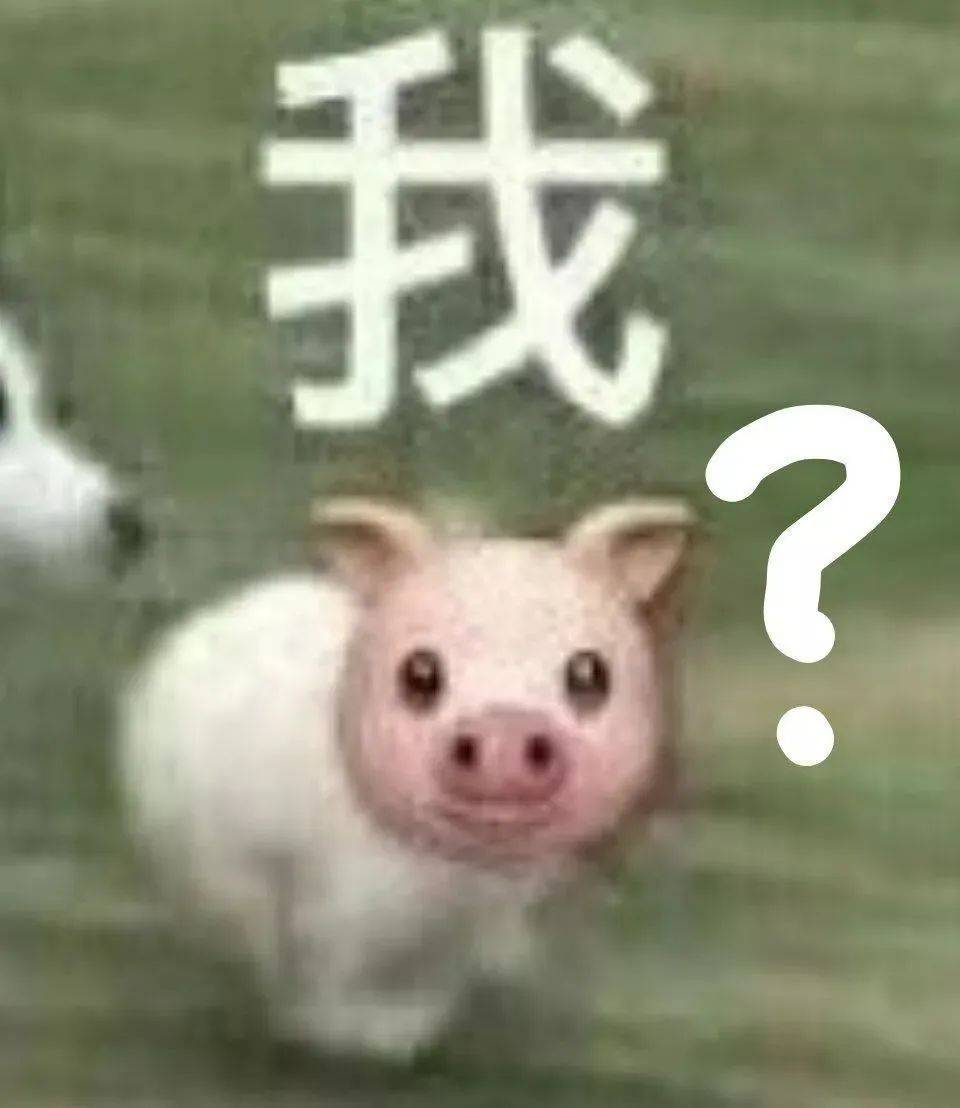 骚骚贱贱的表情包!死鬼 变态!