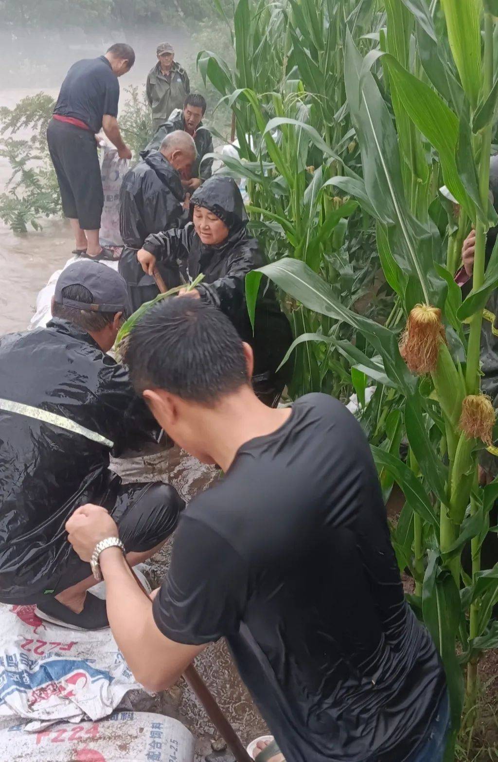 【防汛】红石镇:迎战强降雨 全力以赴保平安