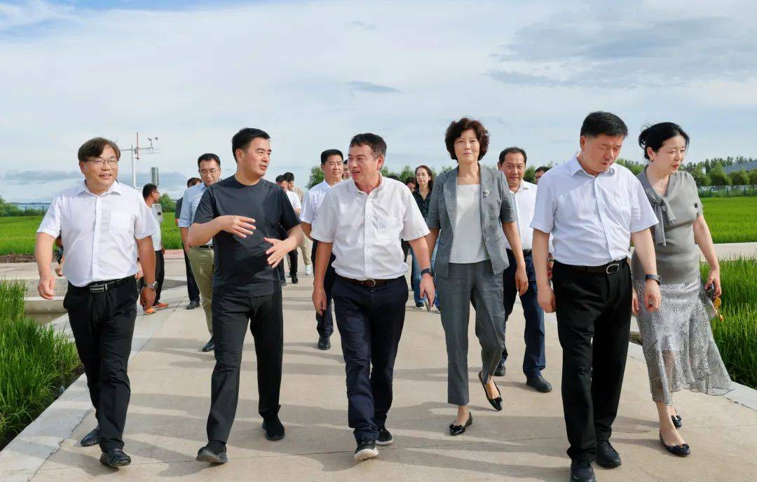 崖州湾国家实验室副主任钱前院士一行到宝清实地考察_水稻_研究_中心