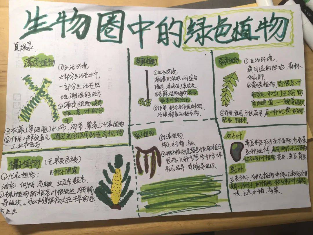 手抄报制作不仅可以锻炼书写和绘画能力,同时也是构图与规划能力提高