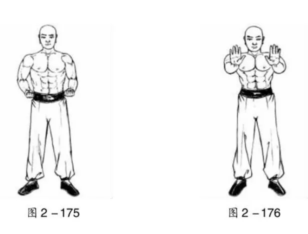 少林内功-虎行功法秘谱(图示)_丹田前_全身_手心