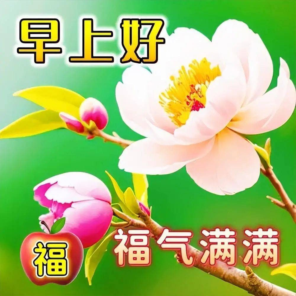 今日最新早上好表情包,动态祝福图片,快乐如意!