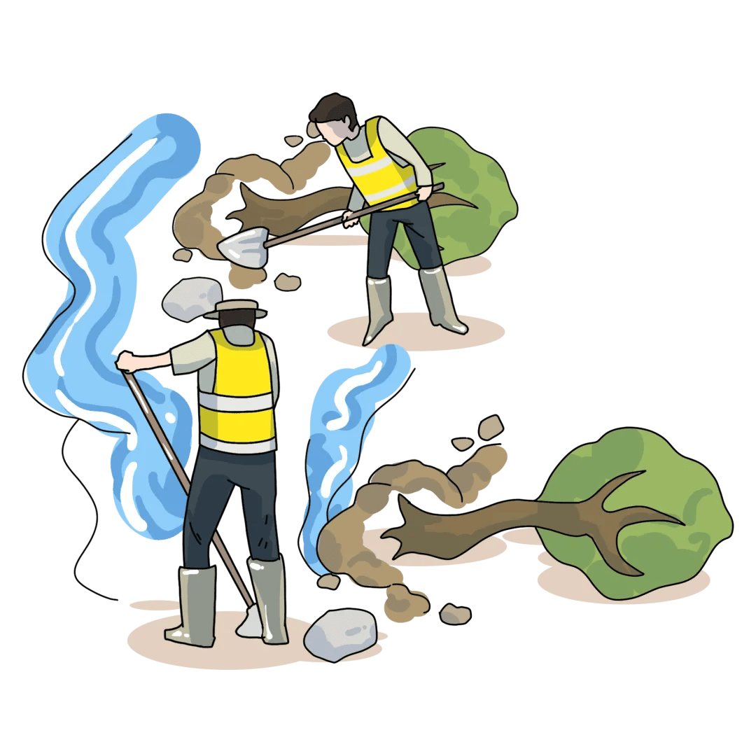 【宜章疾控】洪涝灾害发生后需重点关注的病媒生物及其相关传染病