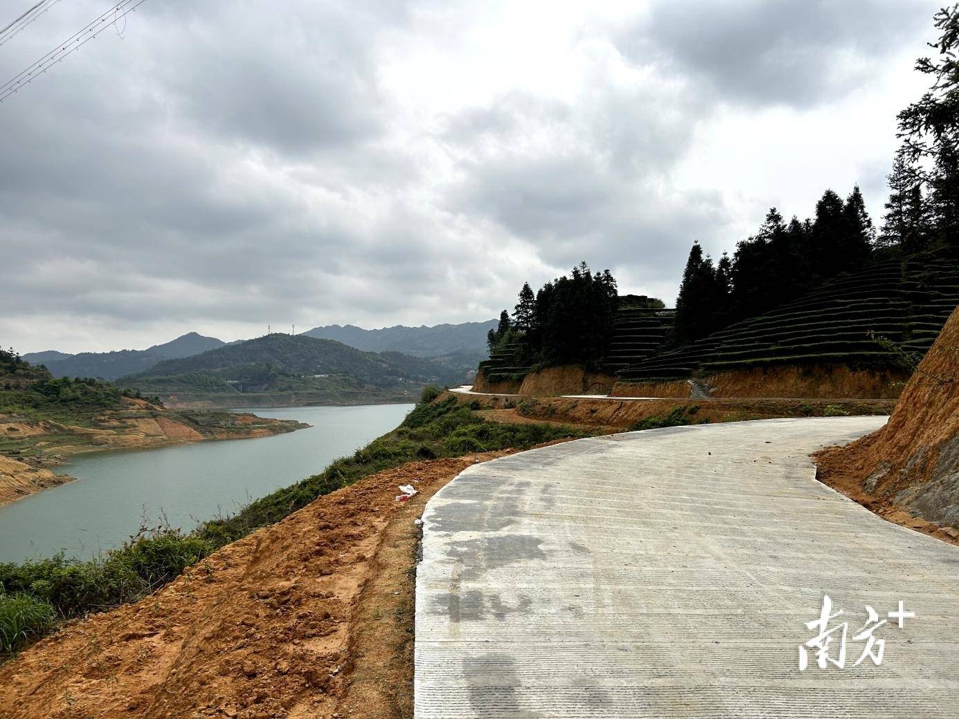 丰顺八乡山镇:人大代表坚持以路为媒,为绿色产业赋能添彩