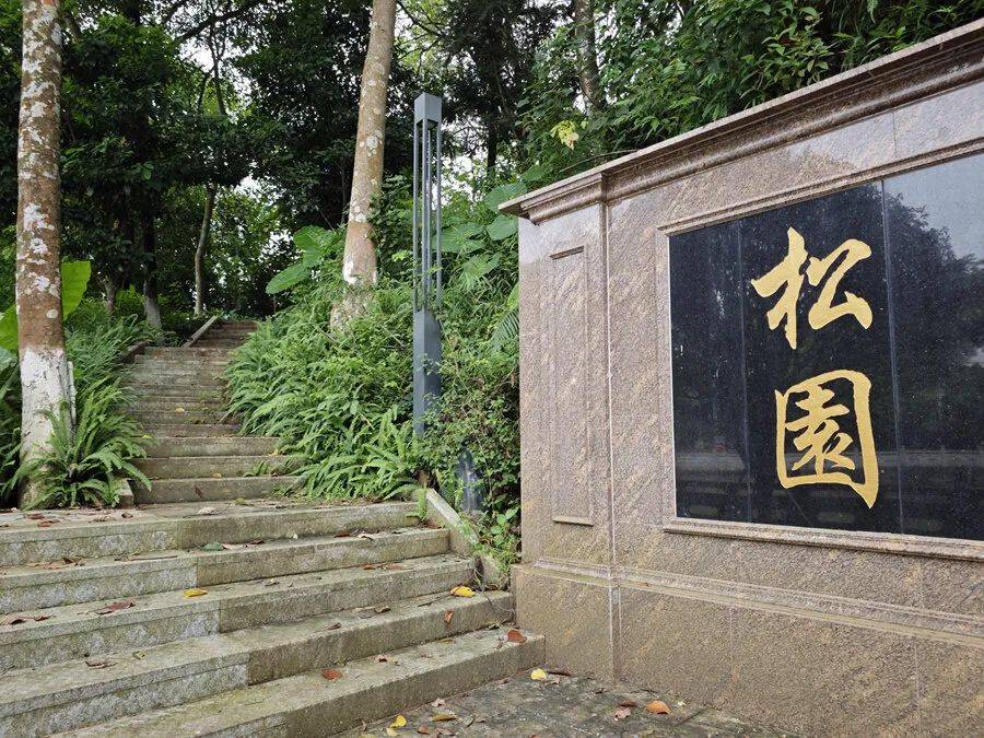 博罗柏塘:打好"乡贤牌" 奏响"振兴曲"