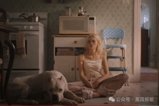 妮可拉_娜拉_经历