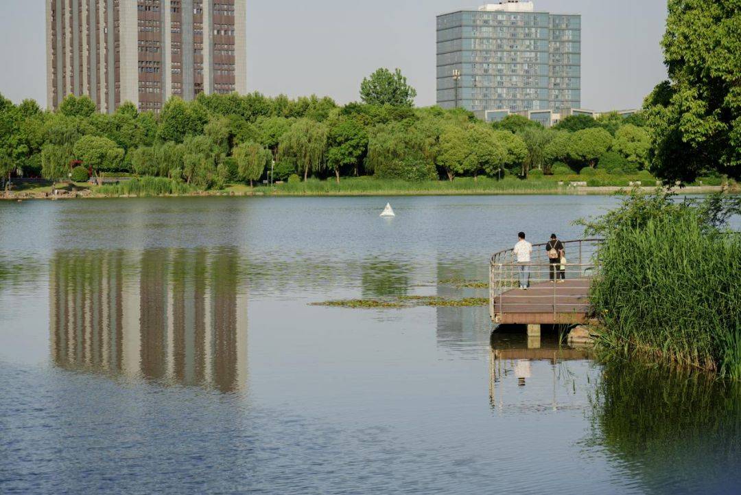 🌸神州学人网 【新澳门六开彩开奖网站】_八卦岭产业园城市更新项目7月22日启动，将释放20.6万方空间