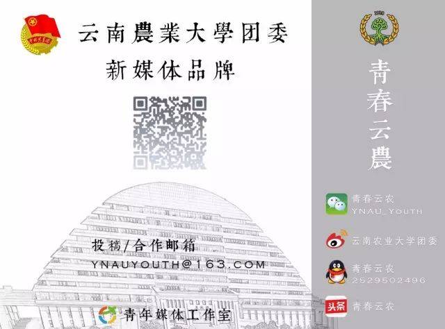 水利学院暑期社会实践团队展示——元阳哈尼梯田"水密码"