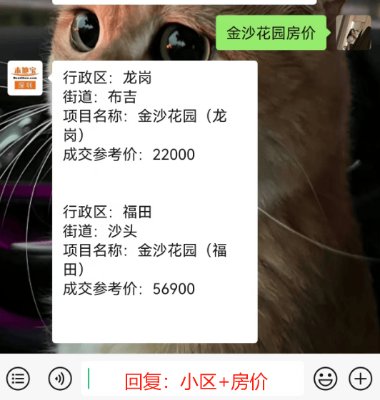 影音先锋：2024年香港正版资料费大全-517新政后沪蓉深汉多地新房活跃度提升，二手房迎点状复苏