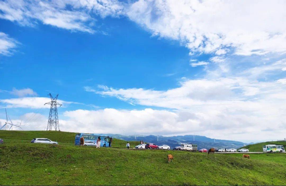 龙里大草原照片图片