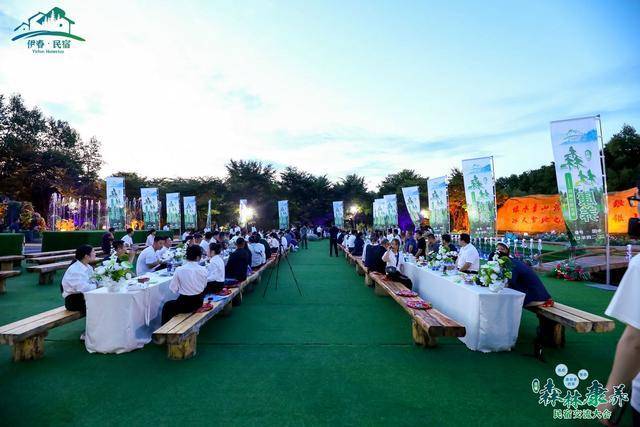 全国知名民宿人齐聚伊春，共探森林康养民宿发展新路径