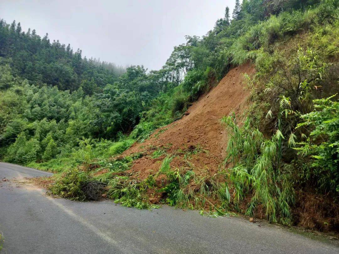 山区道路行车风险大图片