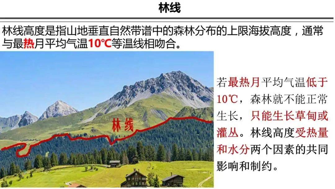 高中地理中的林线问题_高纬度_森林_降水